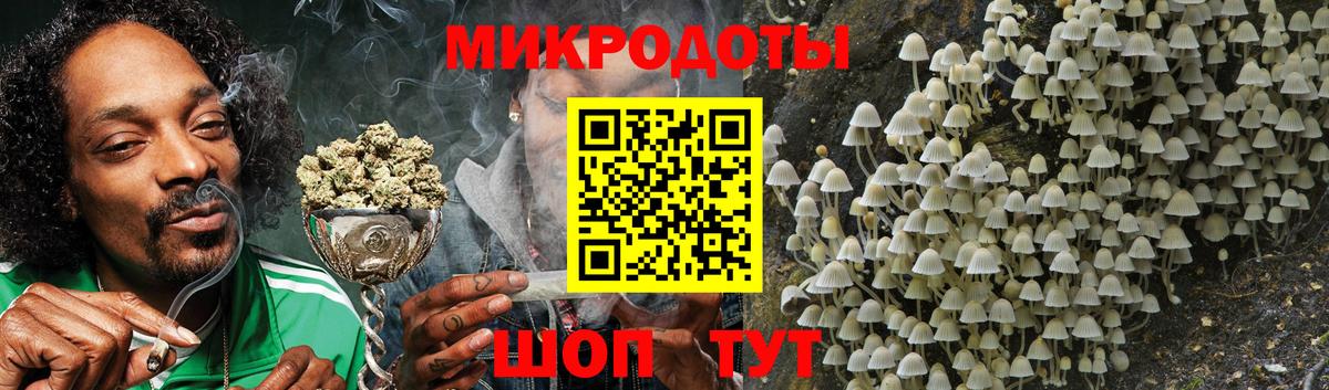 Печора  Псилоцибиновые грибы Cubensis  Вход с VPN 