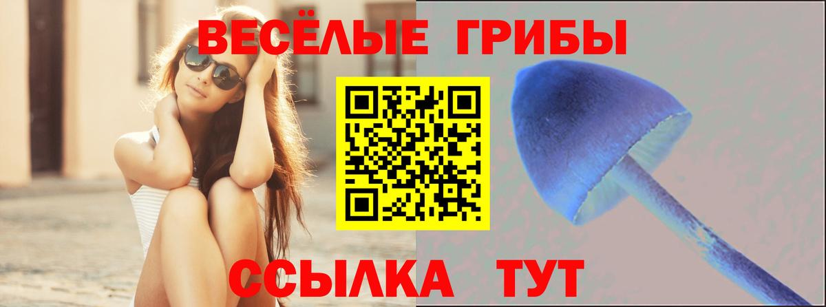 Галлюциногенные грибы мицелий Печора